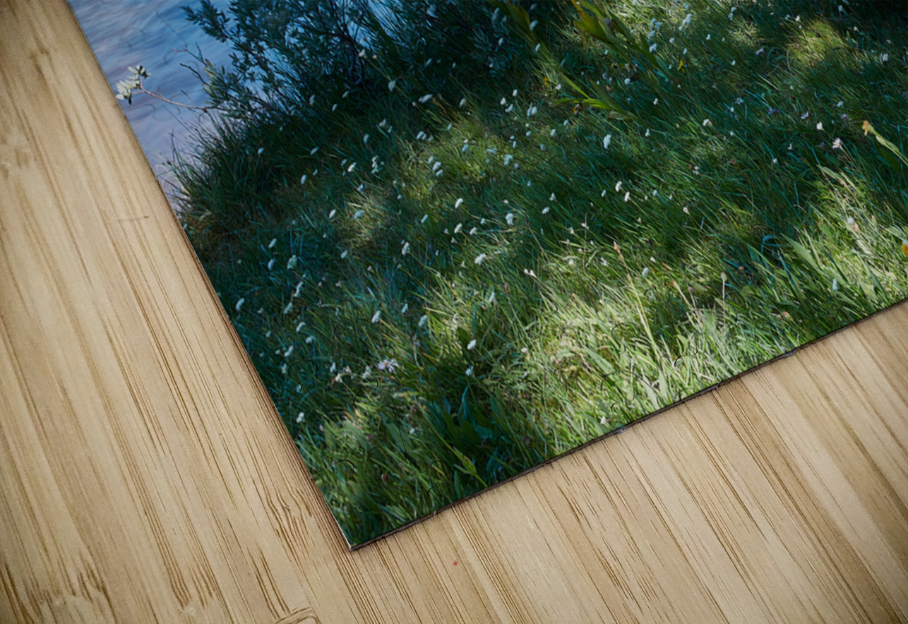 Canoe in Lake Tahoe Images By Jon Evan Puzzle