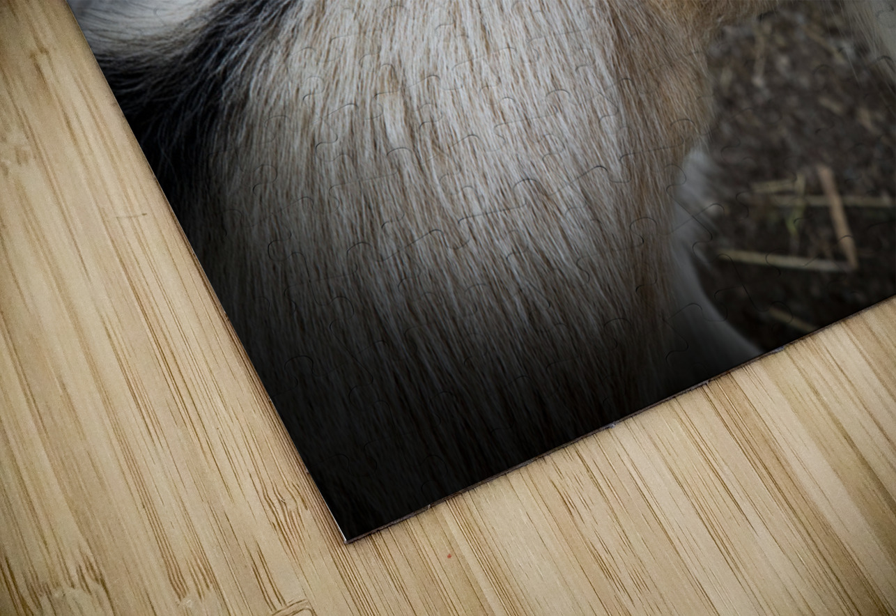 Chevre et compagnon Melissa Lefebvre Puzzle