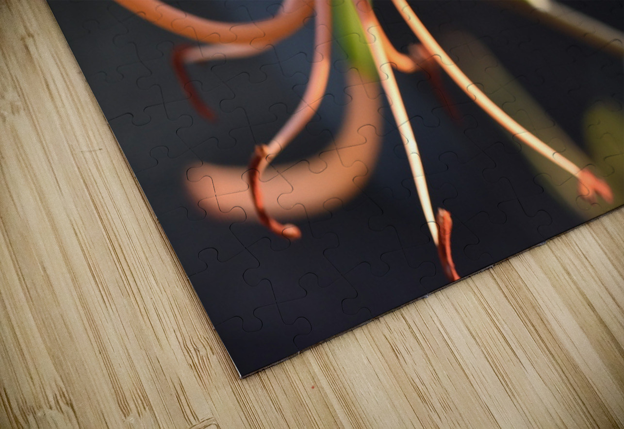 Lys au soleil dete Melissa Lefebvre Puzzle