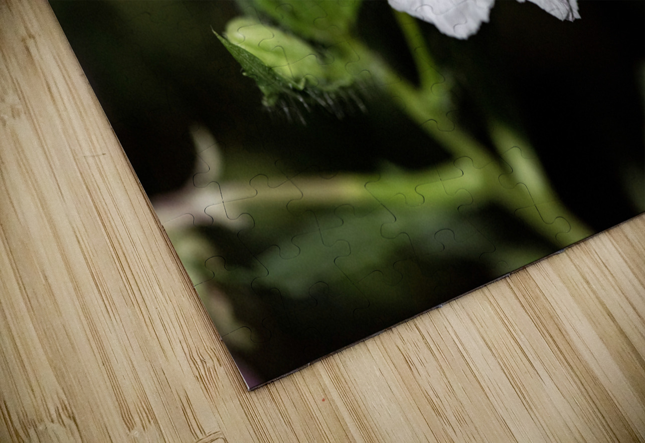 Fleurs power Melissa Lefebvre Puzzle