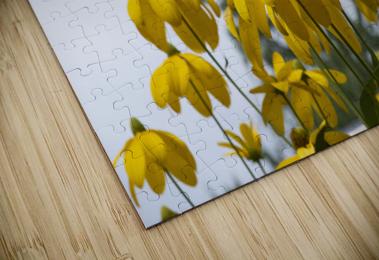 Tournesol naturel Melissa Lefebvre Puzzle