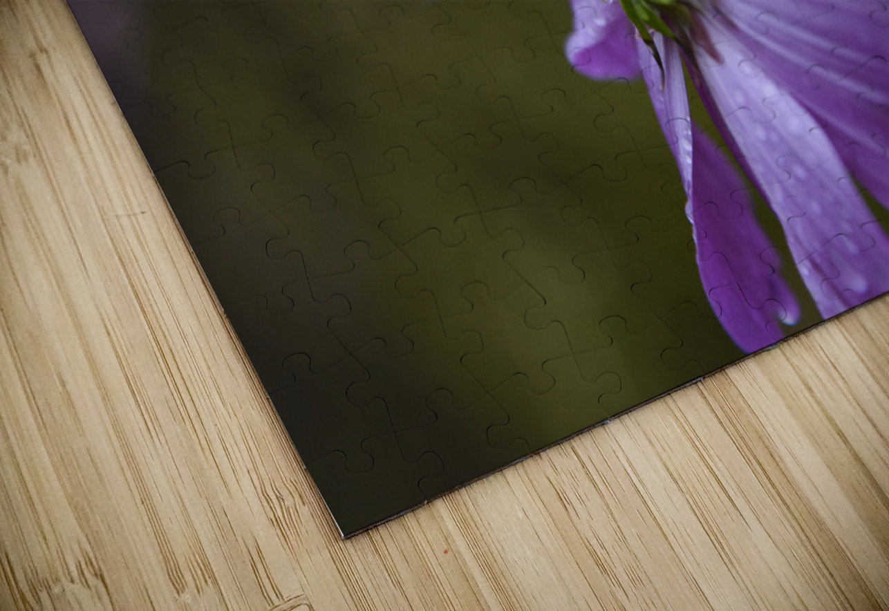 Macros sous la pluie Melissa Lefebvre Puzzle