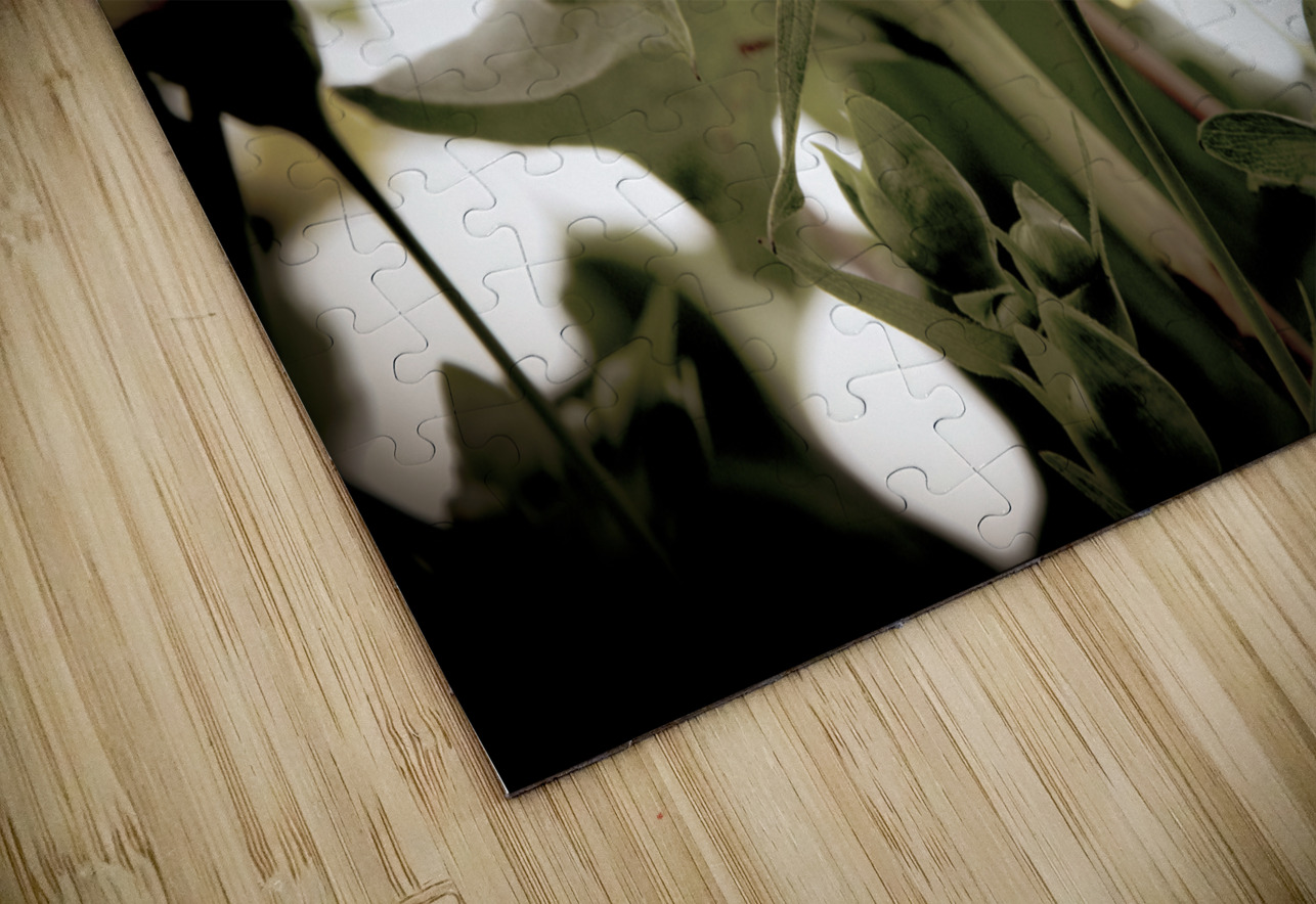 Nature reinventee : Decouvrez le tournesol en macro desature  Melissa Lefebvre Puzzle