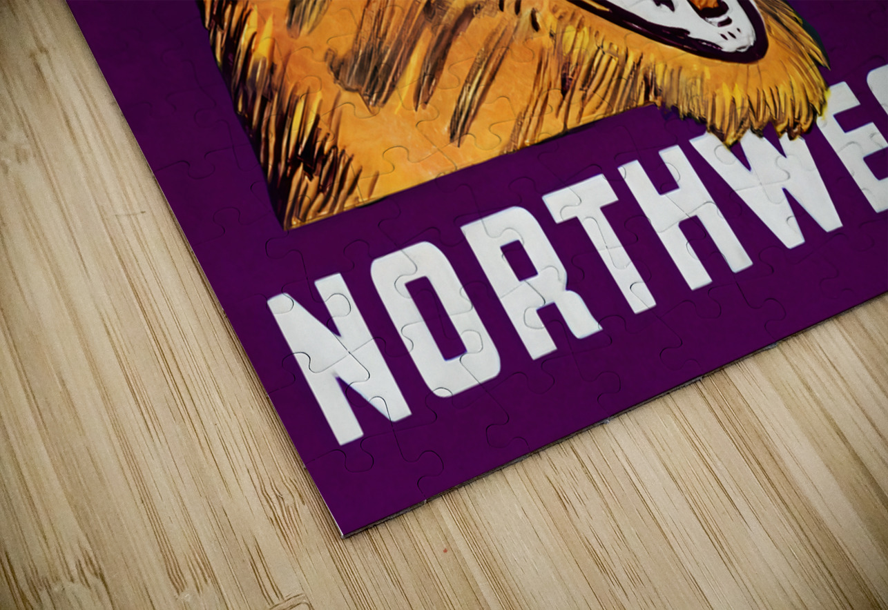 Vintage Northwestern Wildcat Art Row One Brand Puzzle