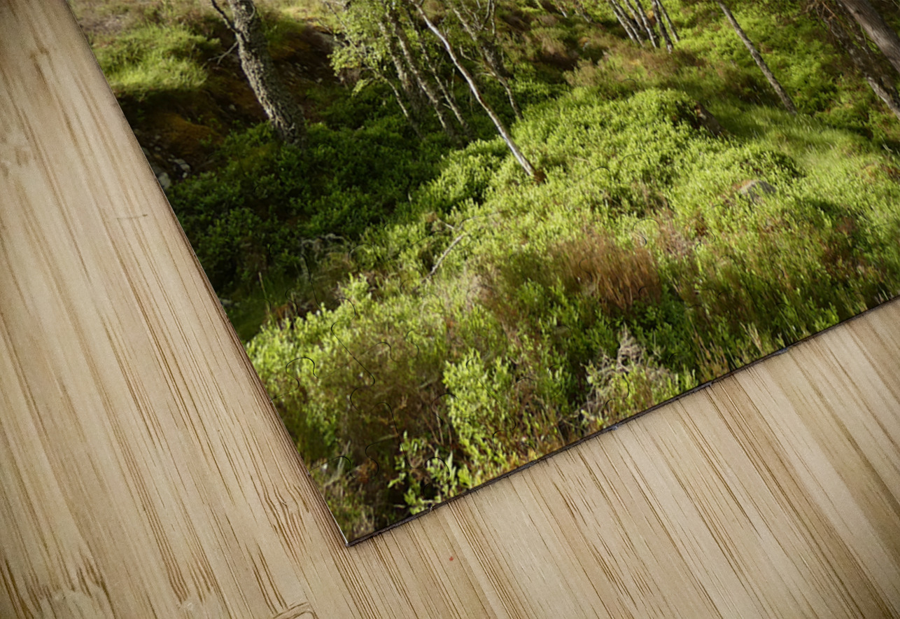 Fairy Tale Lands of the Scottish Highlands. Catriona Roberts Nature Photography and Designs Puzzle