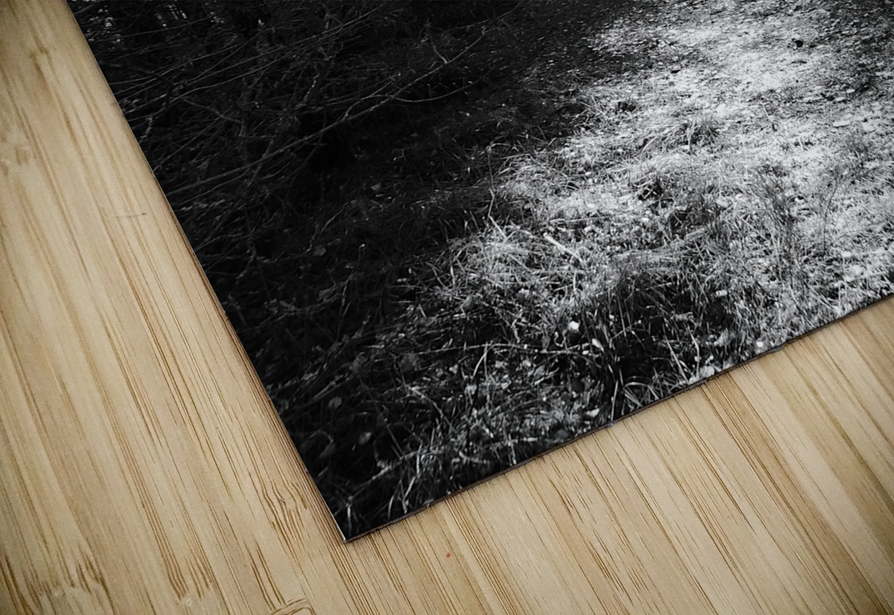  Autumns Suns Dark Kiss for the Scottish Highlands Catriona Roberts Nature Photography and Designs Puzzle