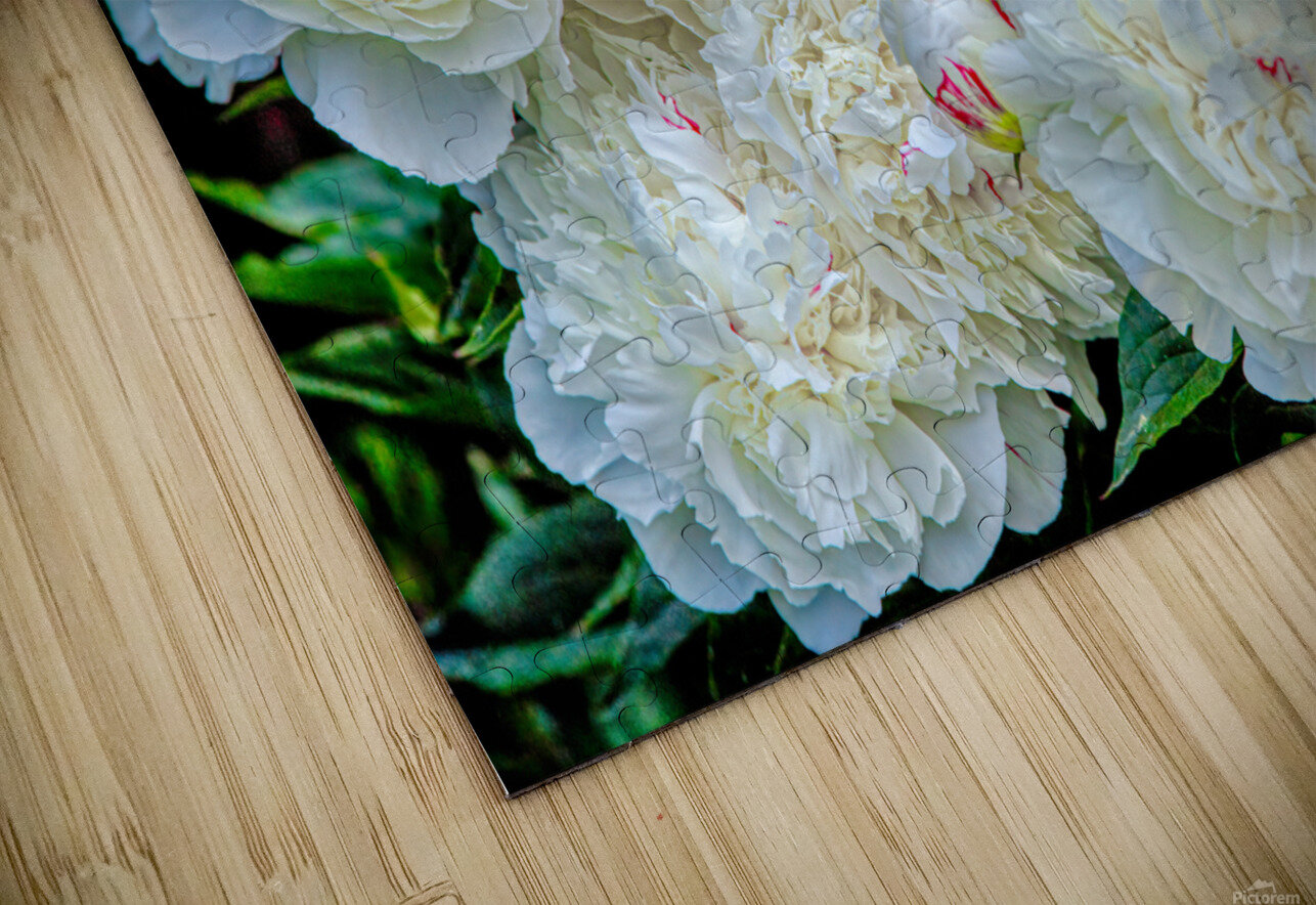 Group of White Peonies Thea Menagh Puzzle