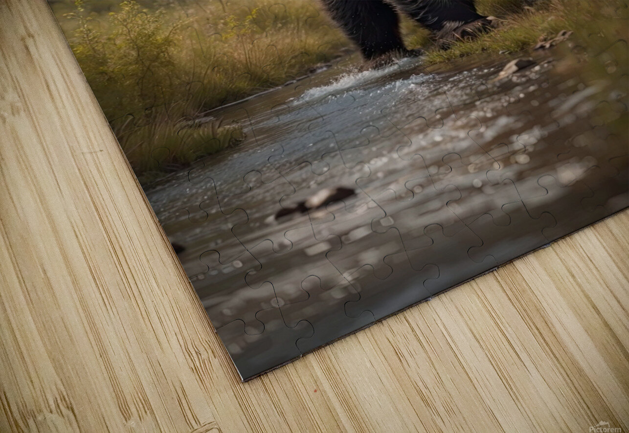 Hyper-realistic Bear Encounter Photography Canvas Collection Puzzle