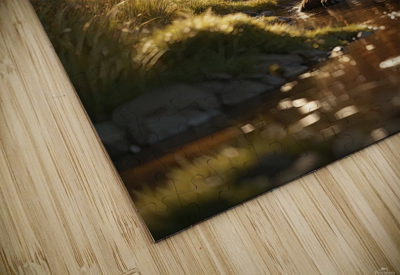 Photorealistic Fox Environment Canvas Collection Puzzle