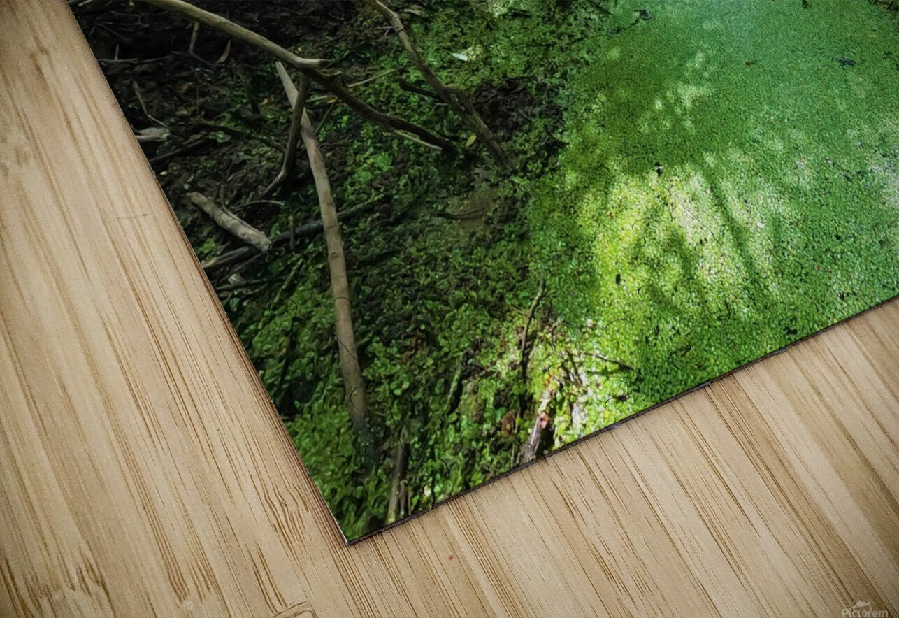 Dry Creek II Mr Apple Puzzle