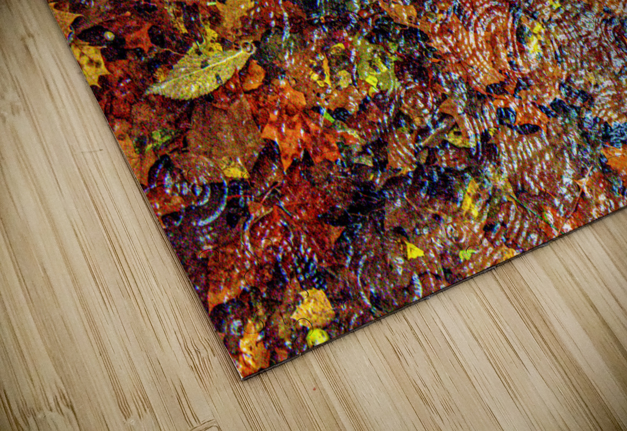 Fall Mosaic Susan Diann Photography Puzzle