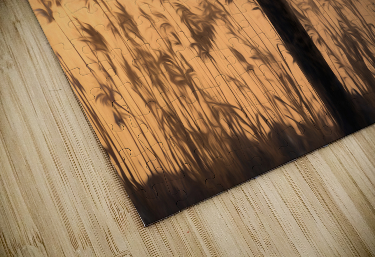 Lake Pontchartrain Seagulls Silhouette Perched on Piling Poles Norma Brandsberg Photography Puzzle