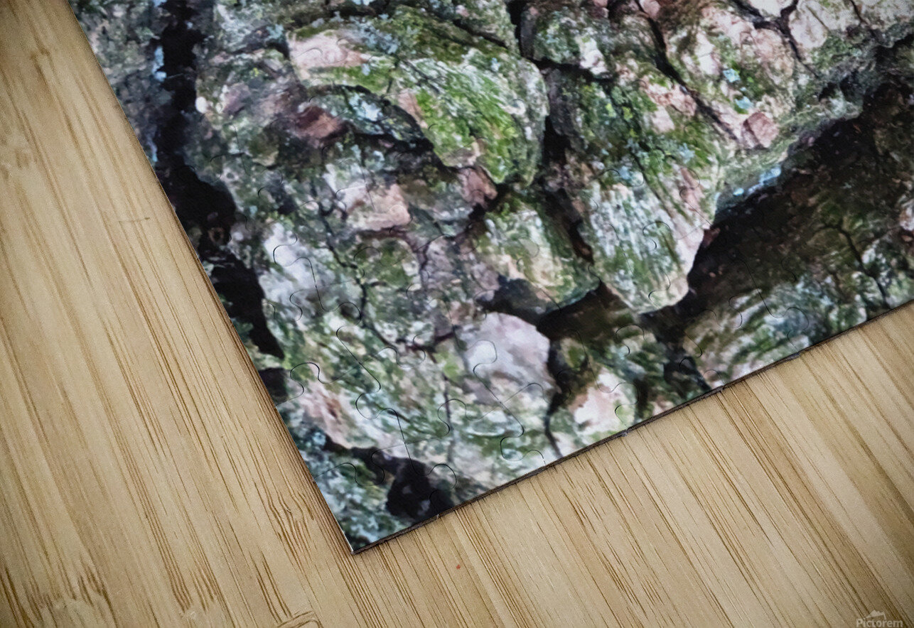 Bark Looks Like a Toad Thea Menagh Puzzle