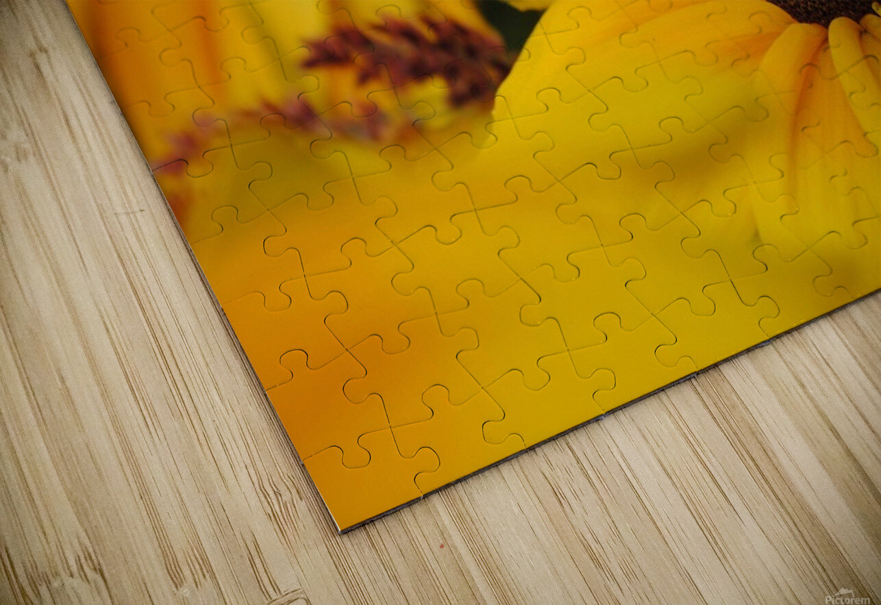 Wild Flowers Dakota Rocha Puzzle