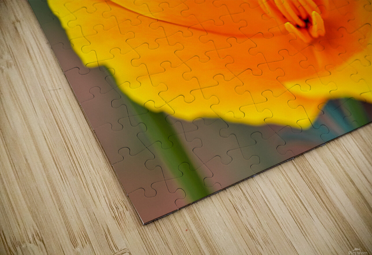 Flower with wasp Bruce Brown Puzzle