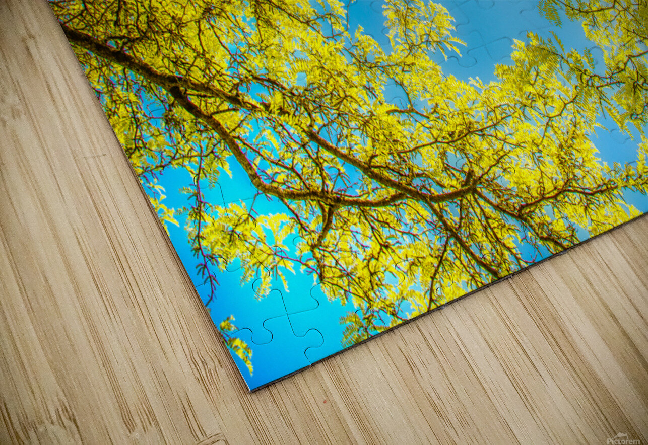 Love that Spring Green  Thea Menagh Puzzle