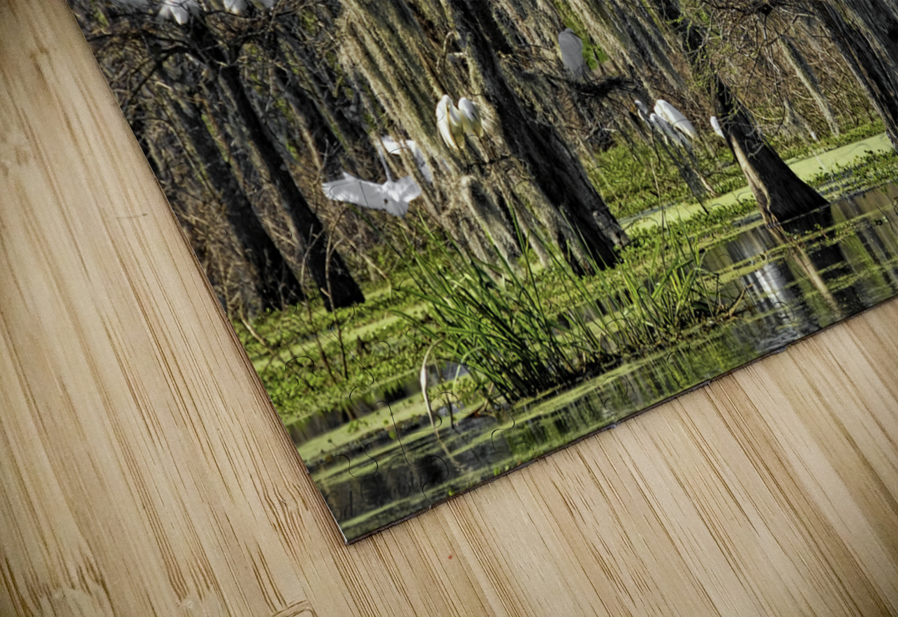 ROOKERY Digicam Puzzle