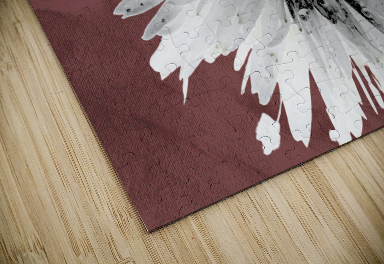  Light Distressed Daisy Flower with Dark Centre on an Abstract Background Catriona Roberts Nature Photography and Designs Puzzle