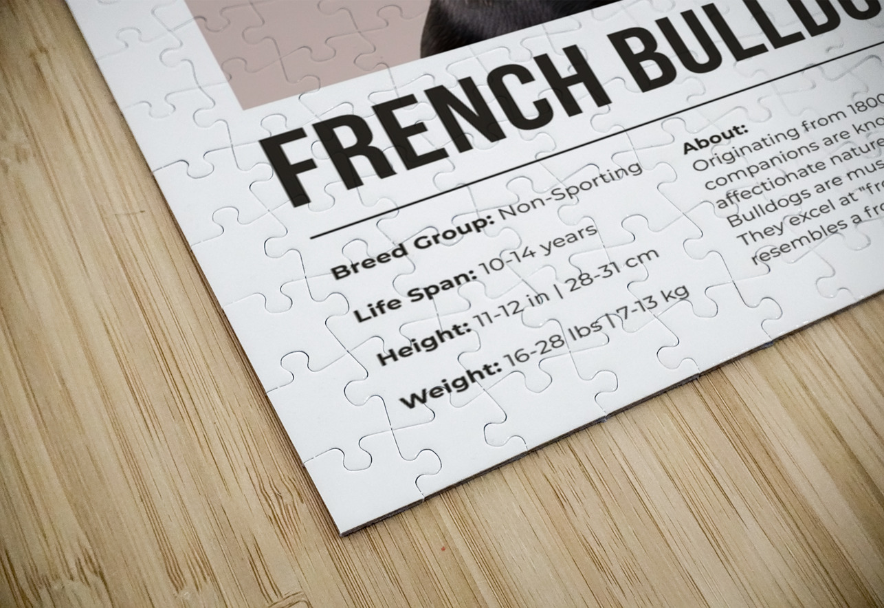 French Bulldog Informative Poster Windawn Puzzle