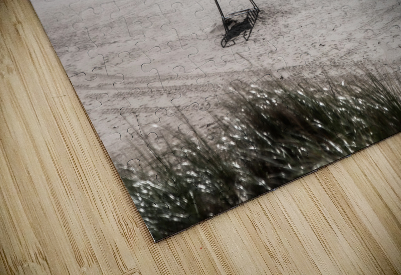 Lifeguard Station 1 Mark Schacter Puzzle