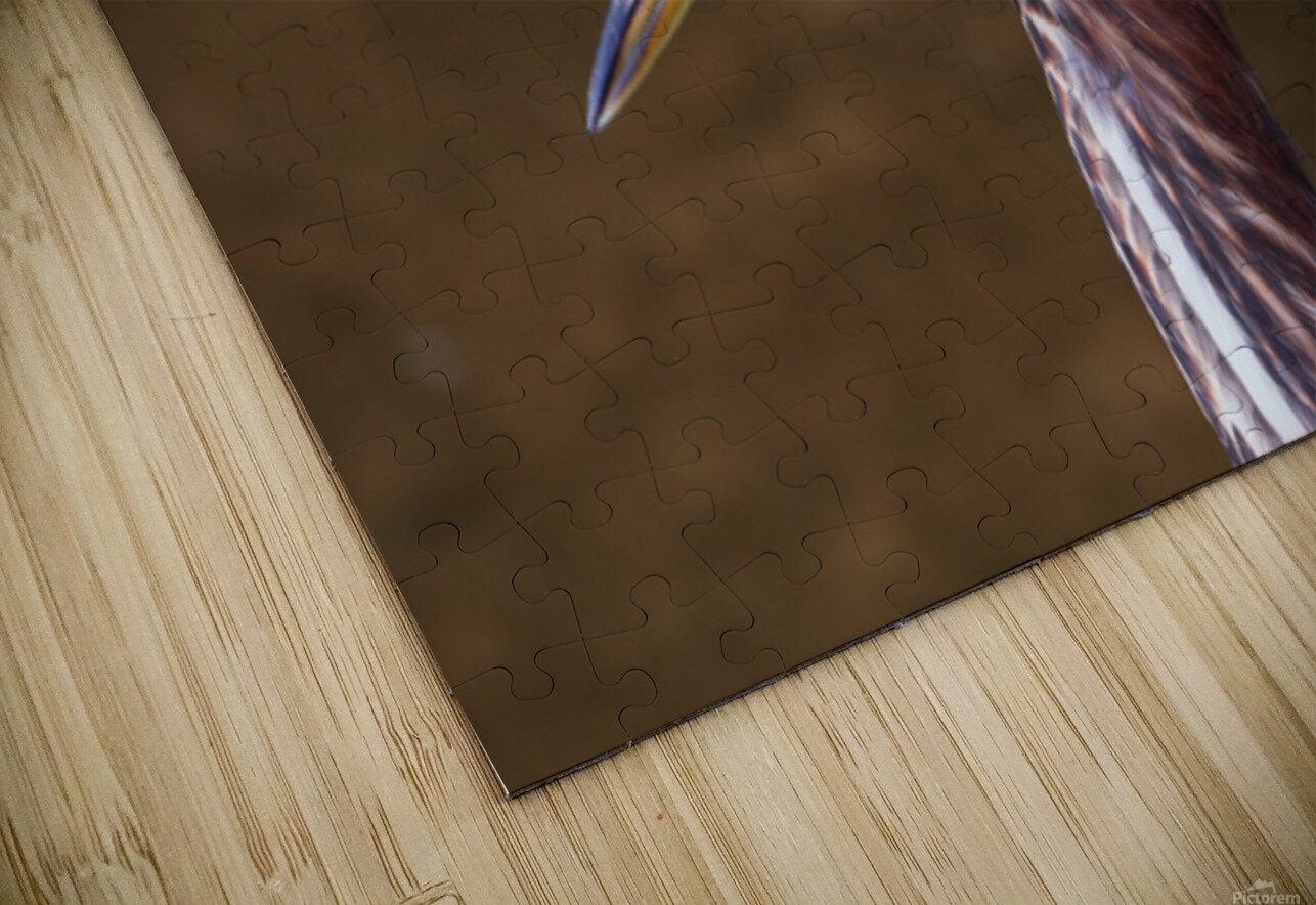 Green Heron - Flushed and Fabulous Chad Meyer Puzzle