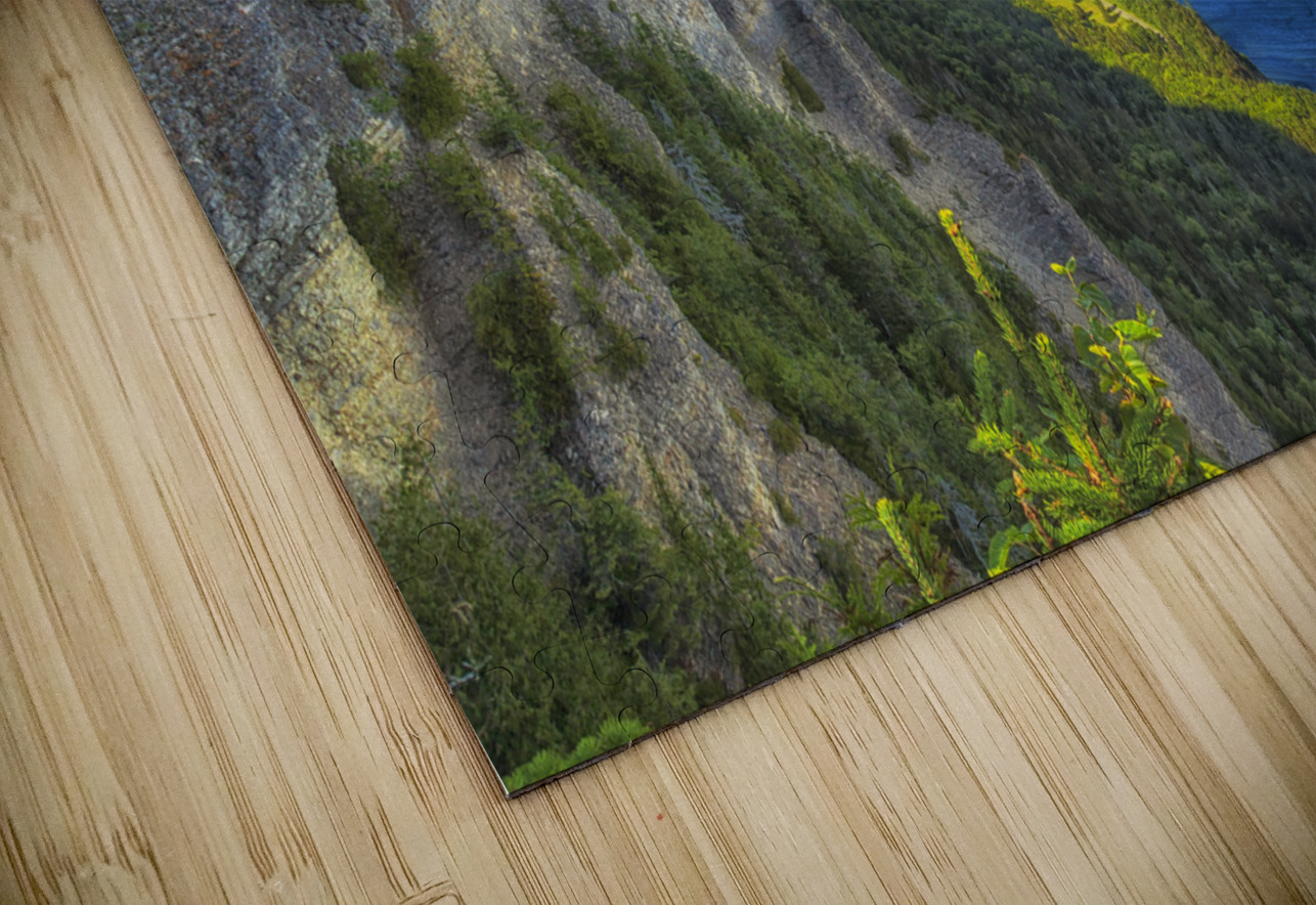 Cap des Rosiers ARTEFIA Puzzle