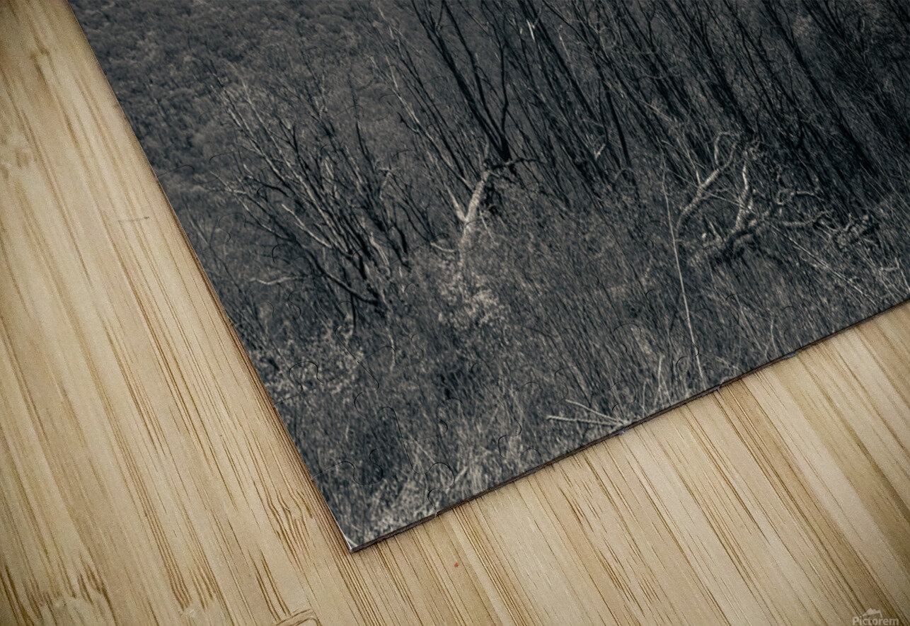 Oh Happy Day in the Mountains Norma Brandsberg Photography Puzzle