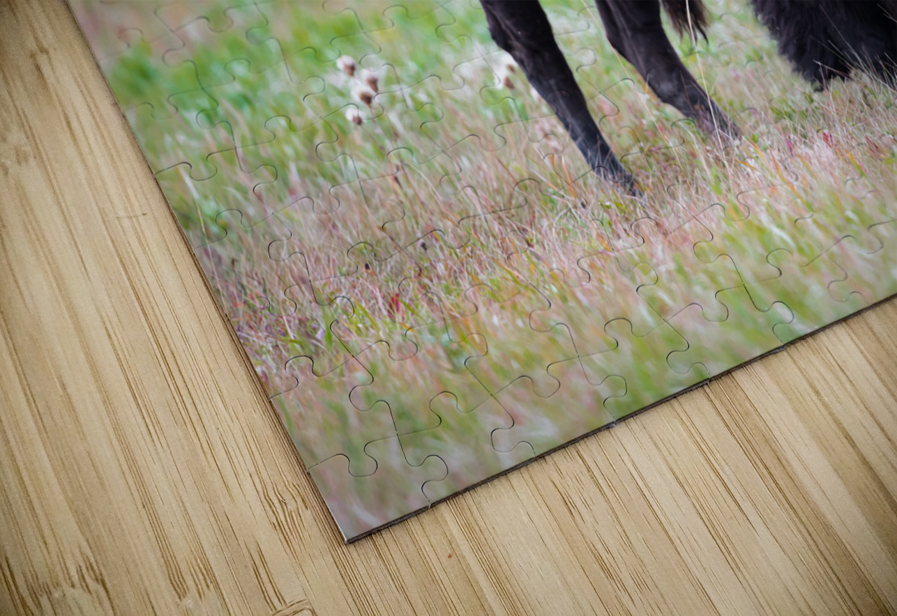 Bulls Eye - Manitoba Bison Kevin Smith Puzzle