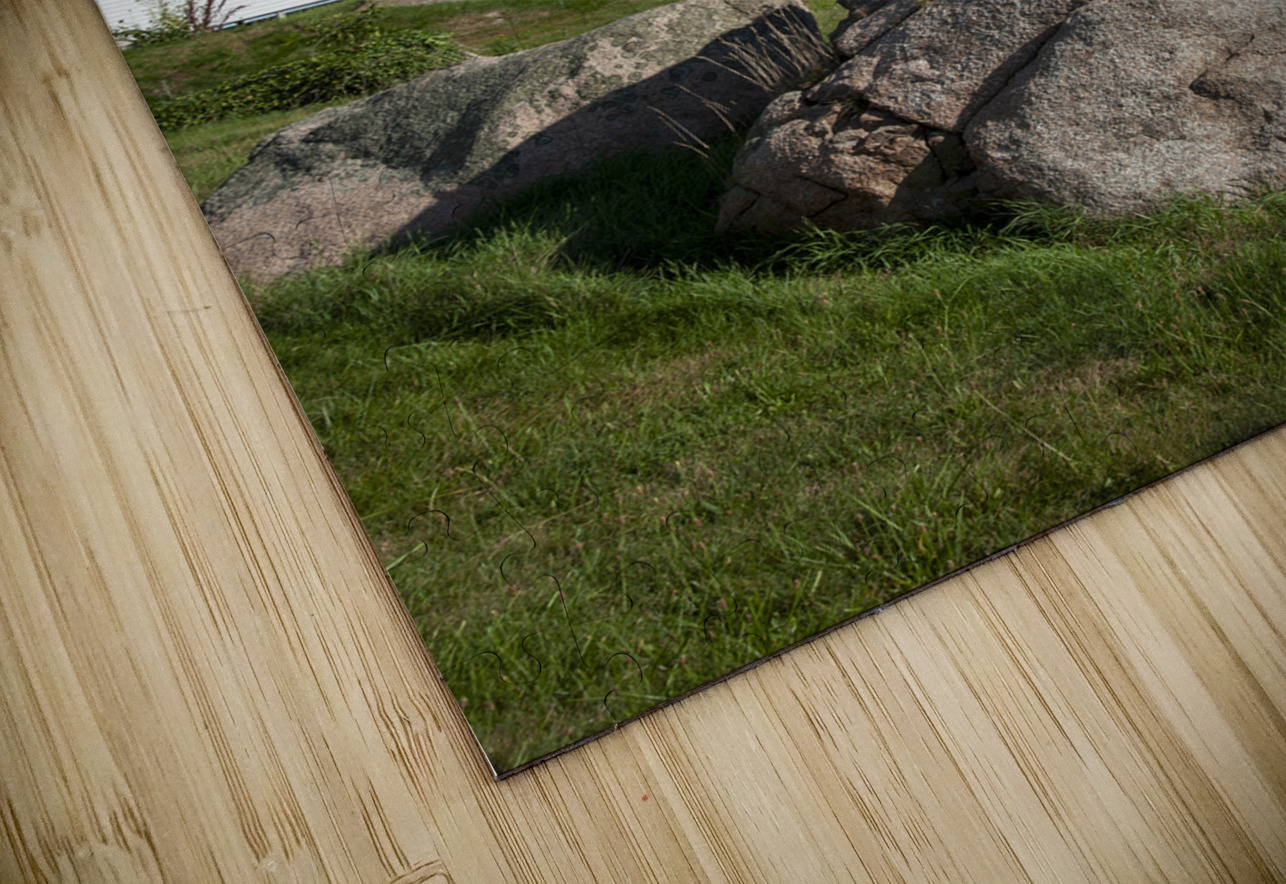 Boulder Shaped Like Wave in Front of Eastern Point Lighthouse in Massachusetts Allan Wood Puzzle