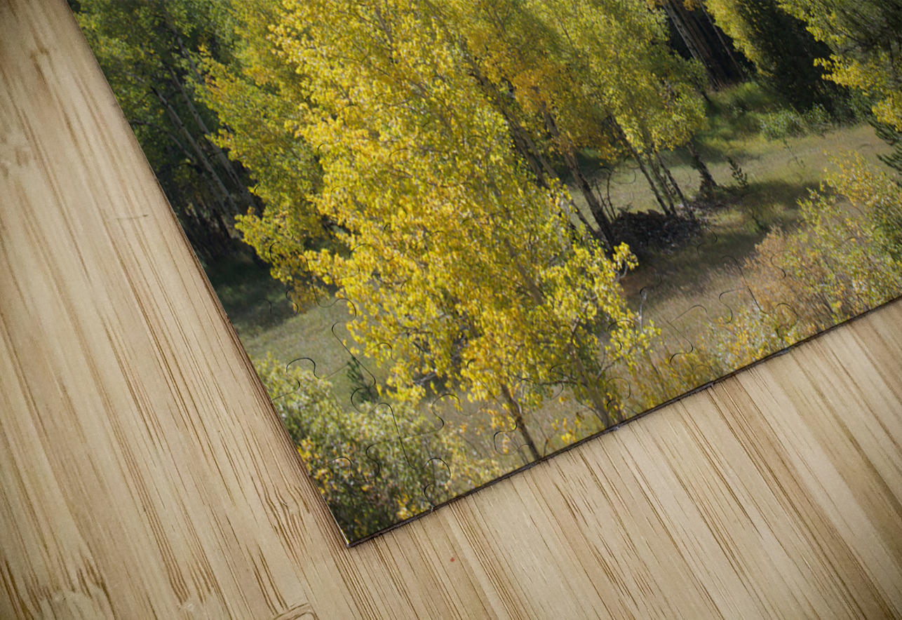 Wavy Fall Colors John Becker Photography Puzzle