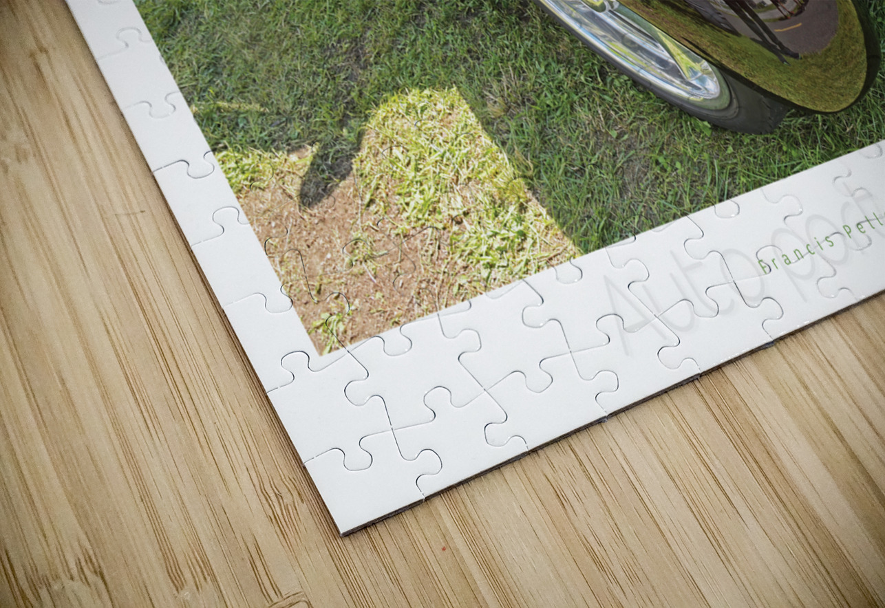 AUTO PORTRAIT 113 Francis Pelletier Puzzle