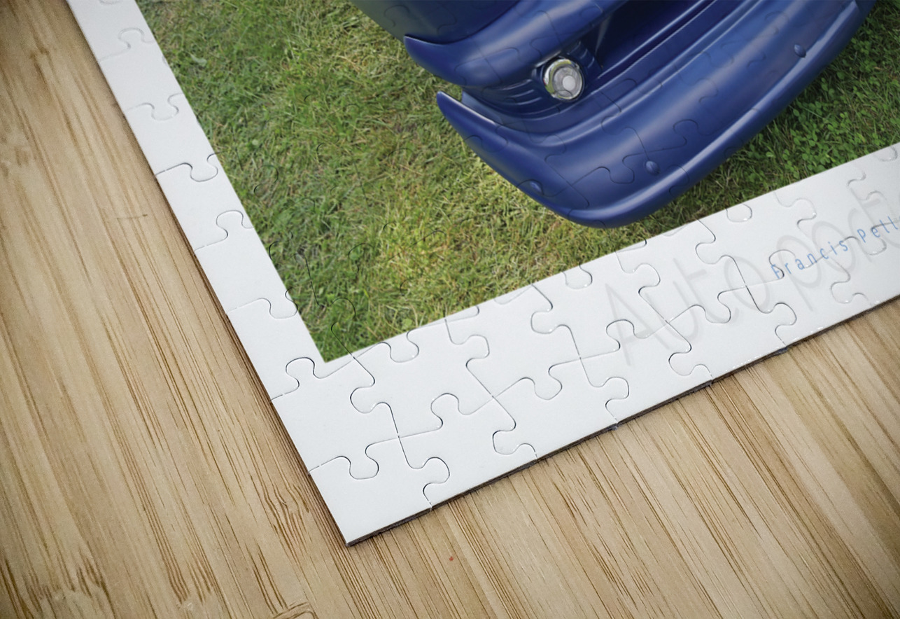 AUTO PORTRAIT 125 Francis Pelletier Puzzle