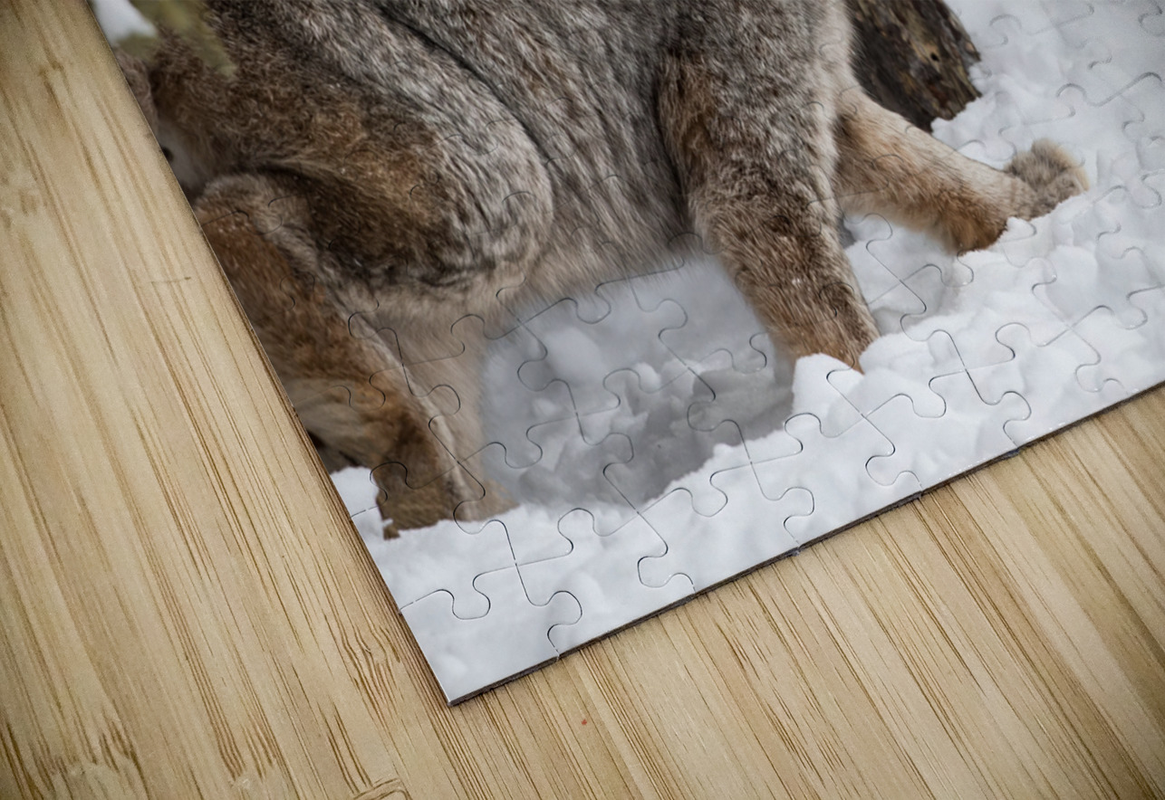 Its a Lynx Wunderland Kevin Smith Puzzle