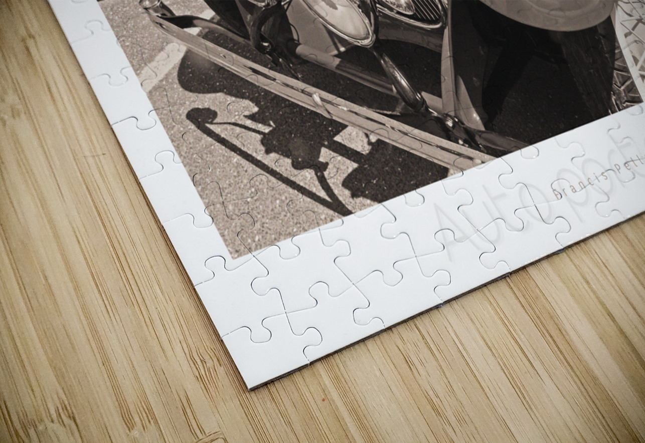 AUTO PORTRAIT 134 Francis Pelletier Puzzle