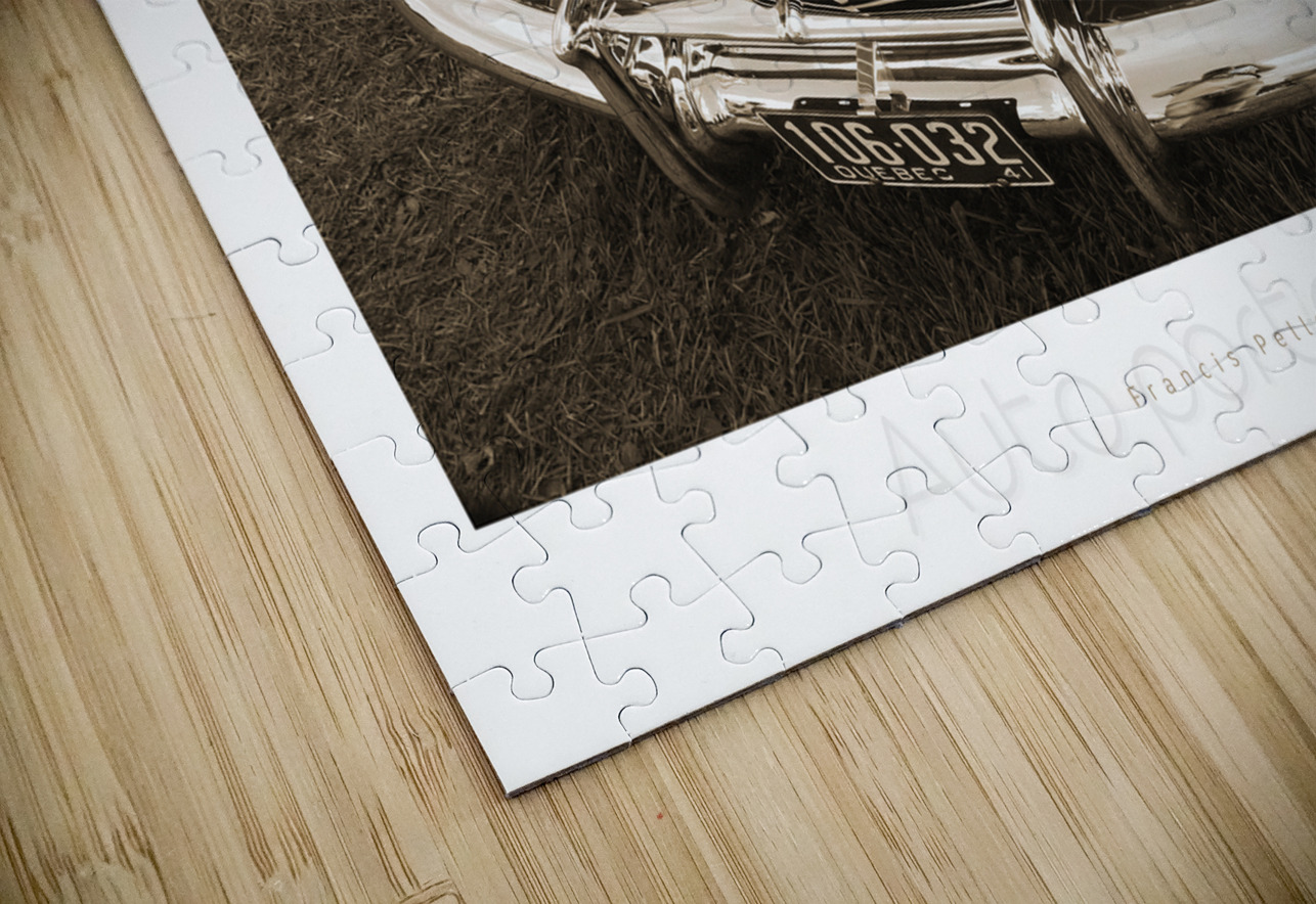 AUTO PORTRAIT 149 Francis Pelletier Puzzle