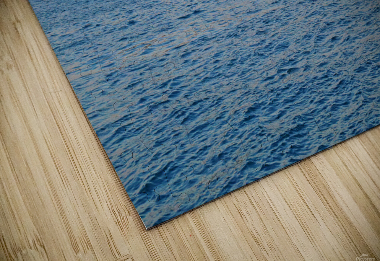 Algowood at Dusk 3 Mary Bedy Puzzle