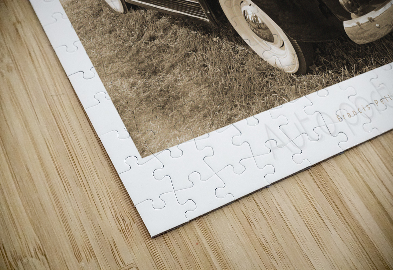 AUTO PORTRAIT 221 Francis Pelletier Puzzle