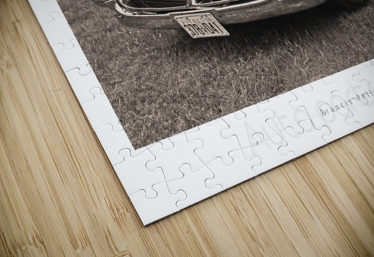 AUTO PORTRAIT 202 Francis Pelletier Puzzle