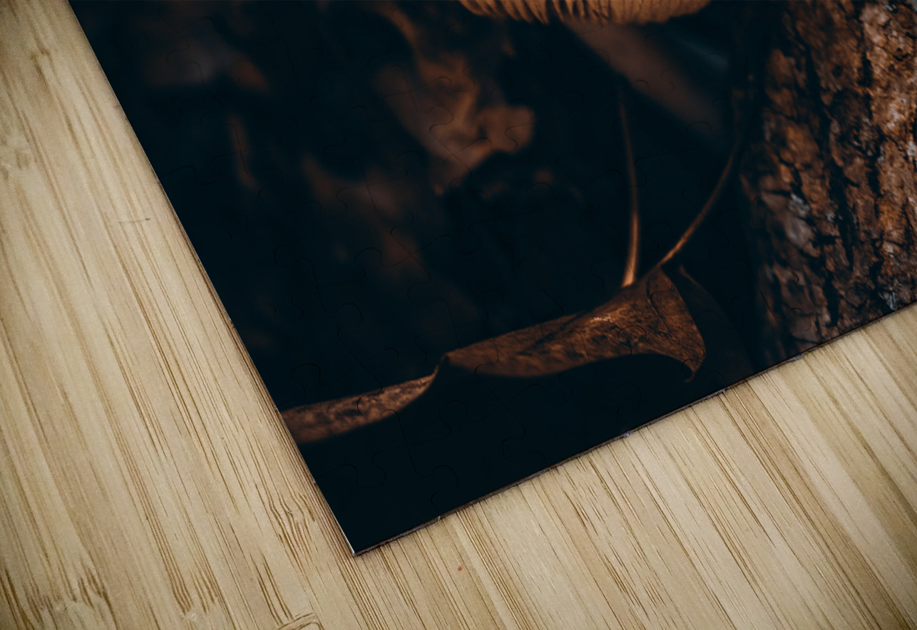 Mystical Fungi: Cupped in the Autumn Woods Dream World Images Puzzle