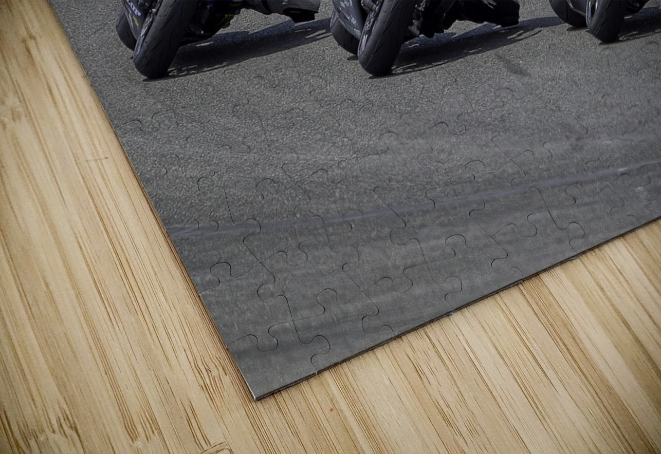 *ACT 01398 John Walborn Promenade Photos Puzzle