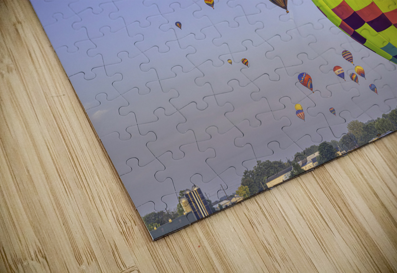 ACT 01355 John Walborn Promenade Photos Puzzle