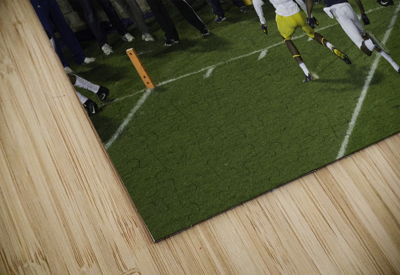 ACT 01378 John Walborn Promenade Photos Puzzle