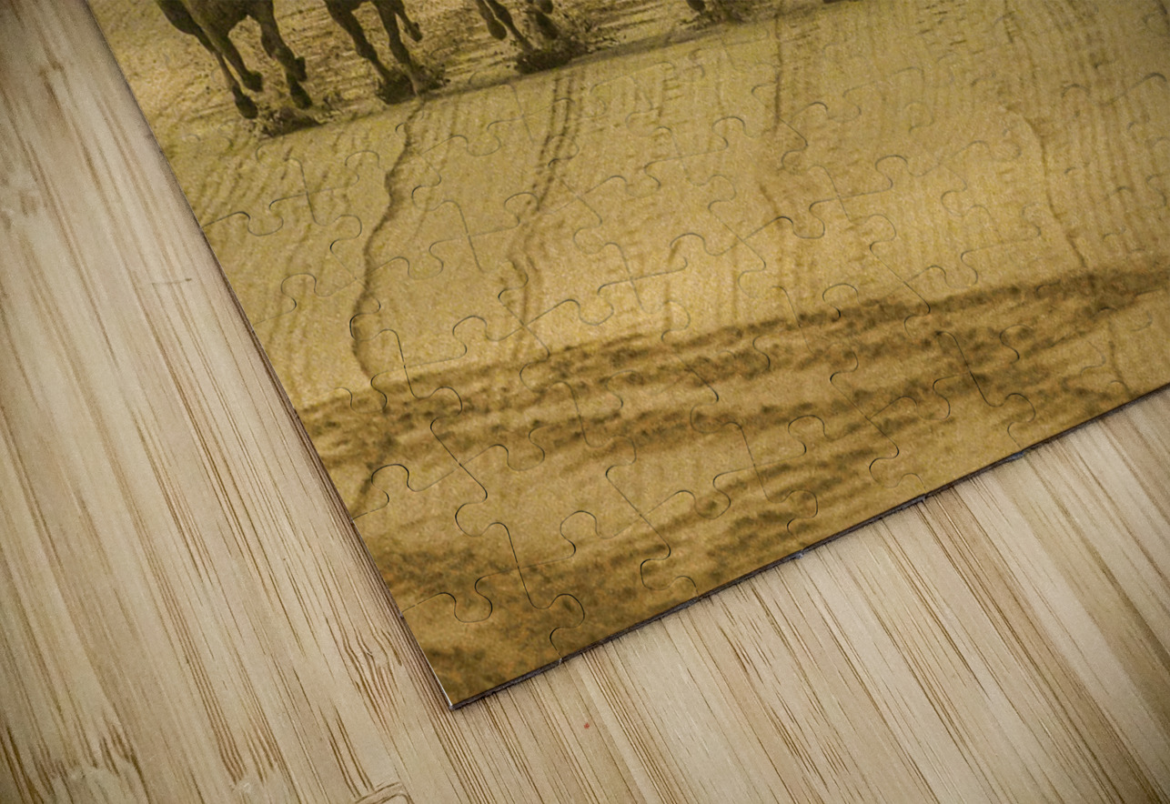 ACT 01392 John Walborn Promenade Photos Puzzle