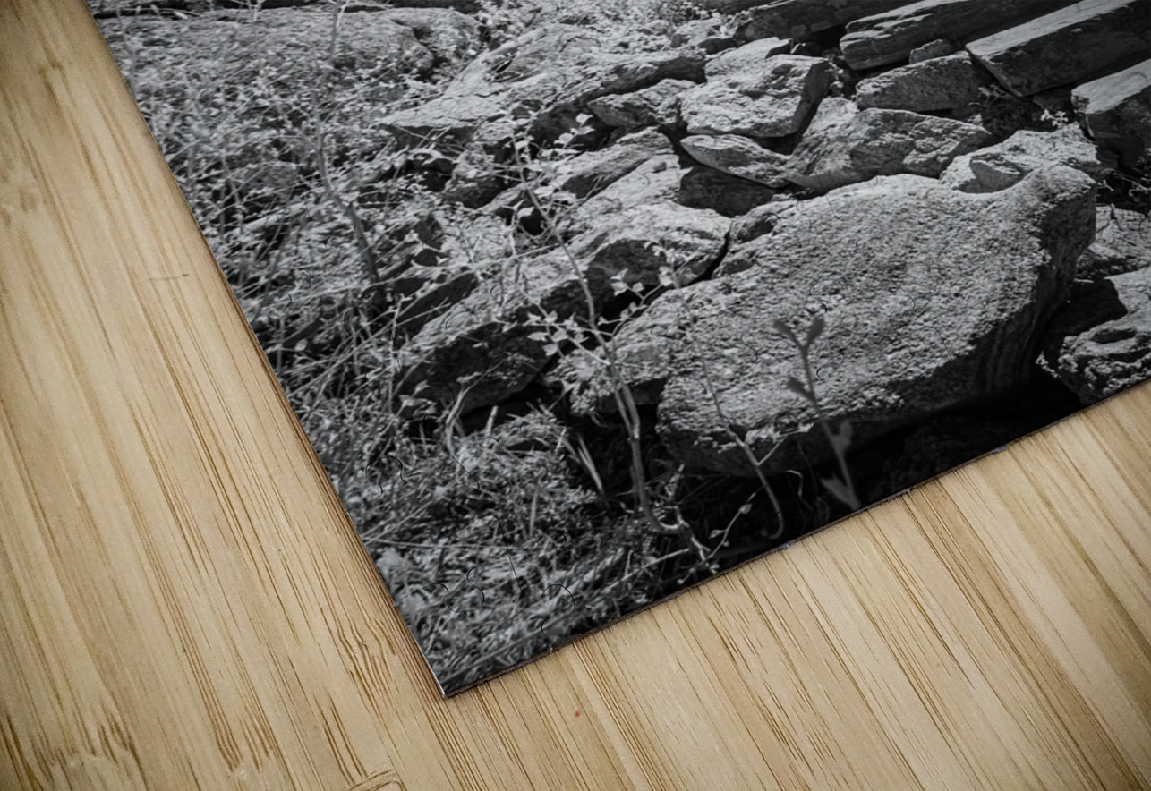 Stairway to Tranquility: Sylvan Lake Dream World Images Puzzle