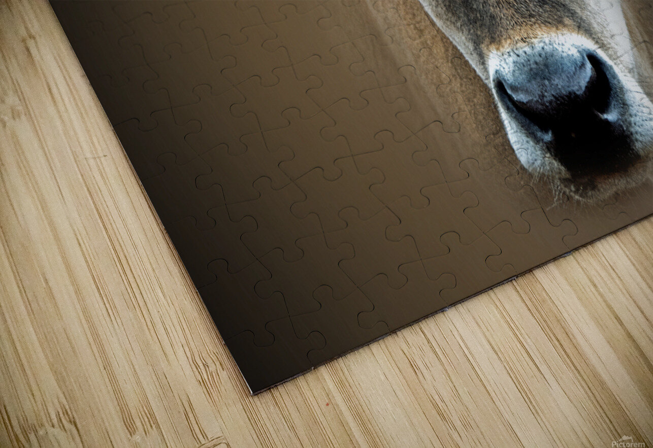 Over the MOOON B Zolle Puzzle