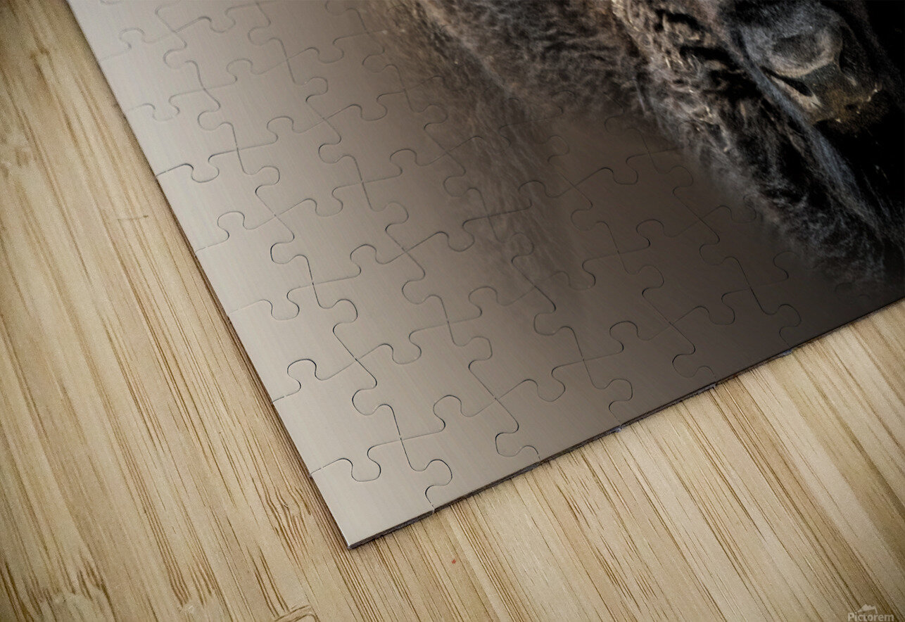 Earth Shaker B Zolle Puzzle