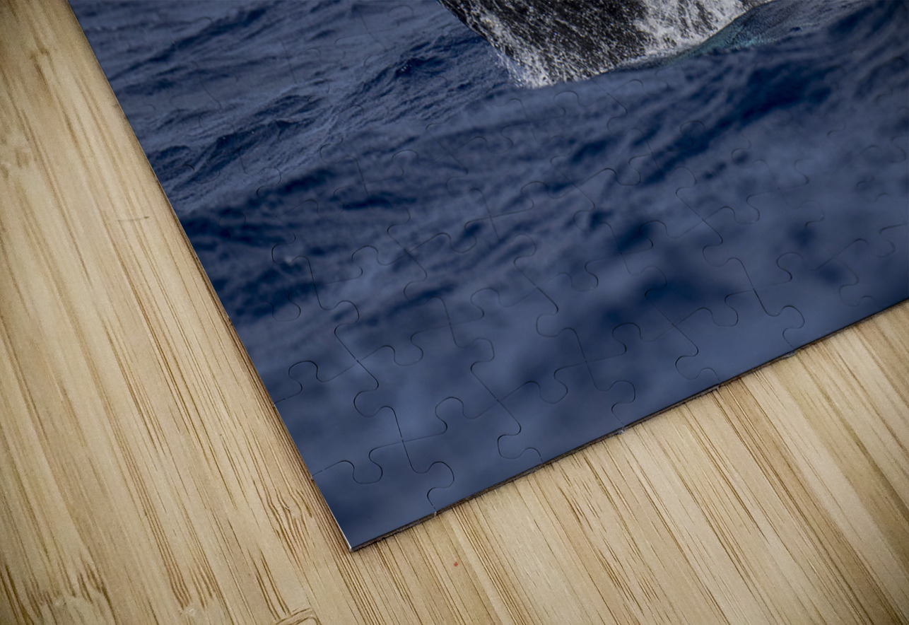 Humpback Whale Head Lunge near Lahaina Maui Hawaii David Hoffmann Puzzle