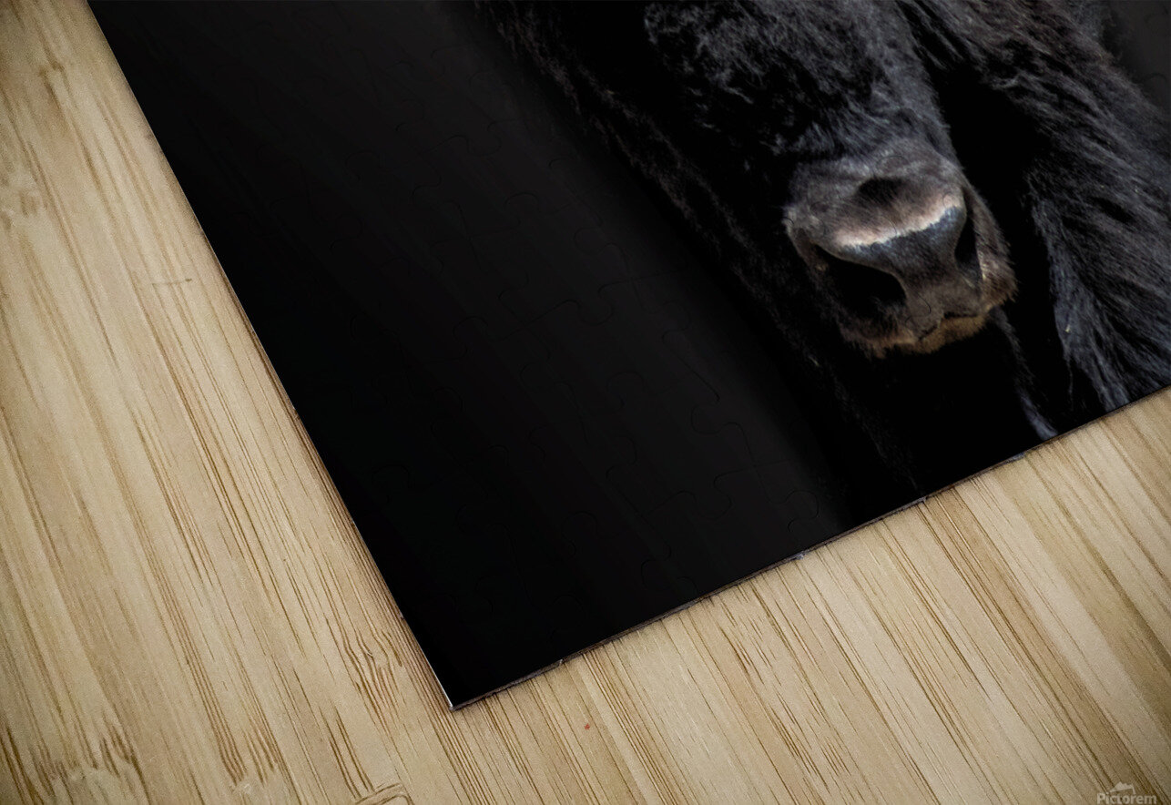 The Business End B Zolle Puzzle