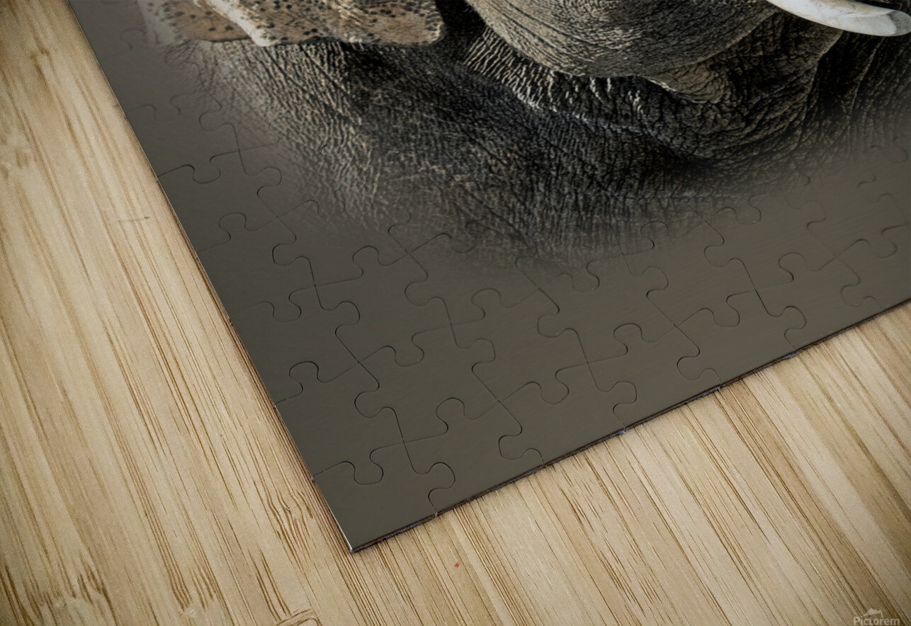 Asian B Zolle Puzzle