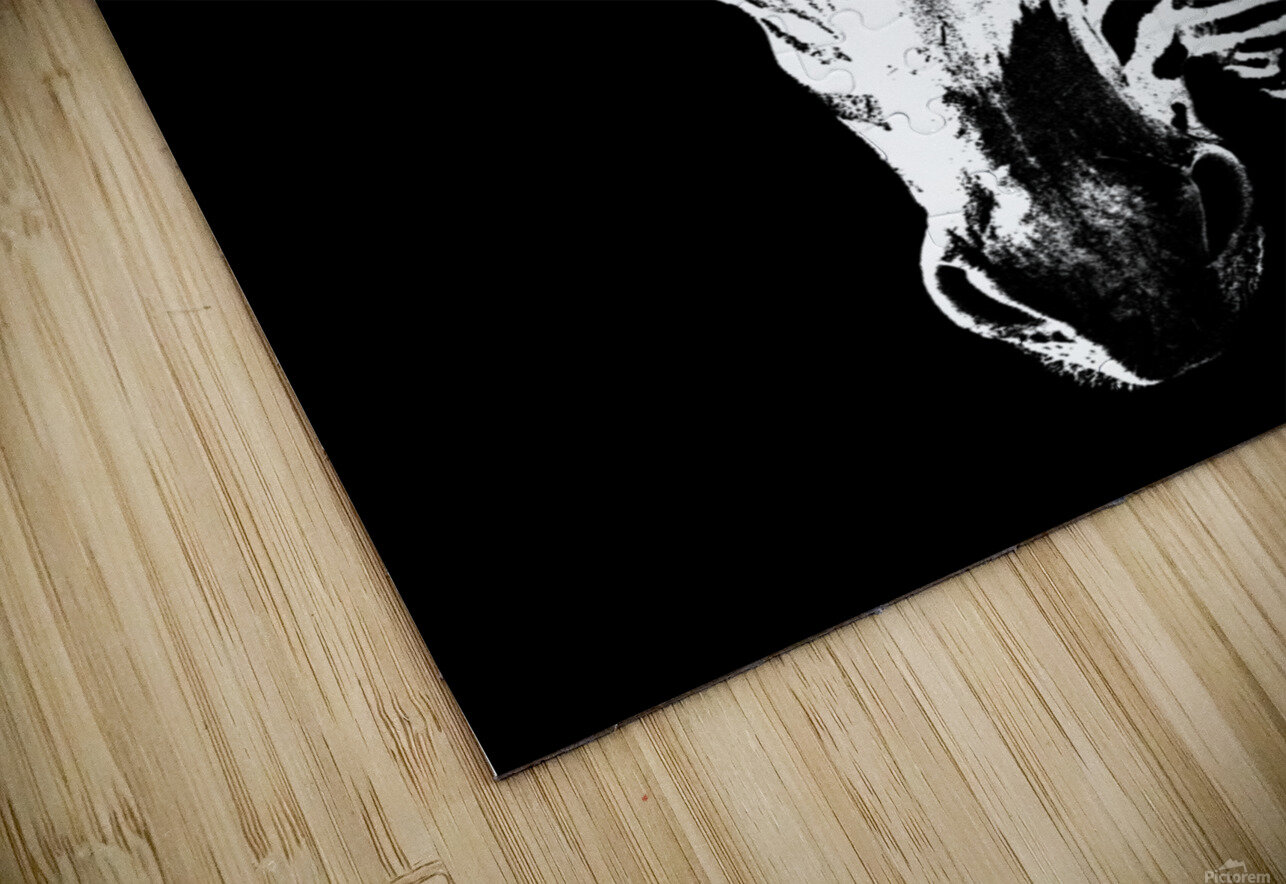 Bezra B Zolle Puzzle